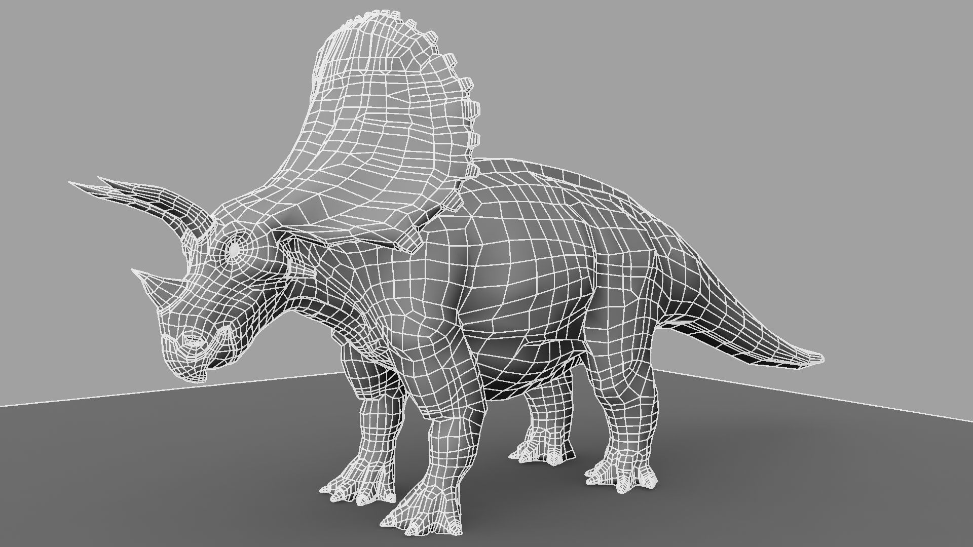 Triceratops dinosaur 3D model_24