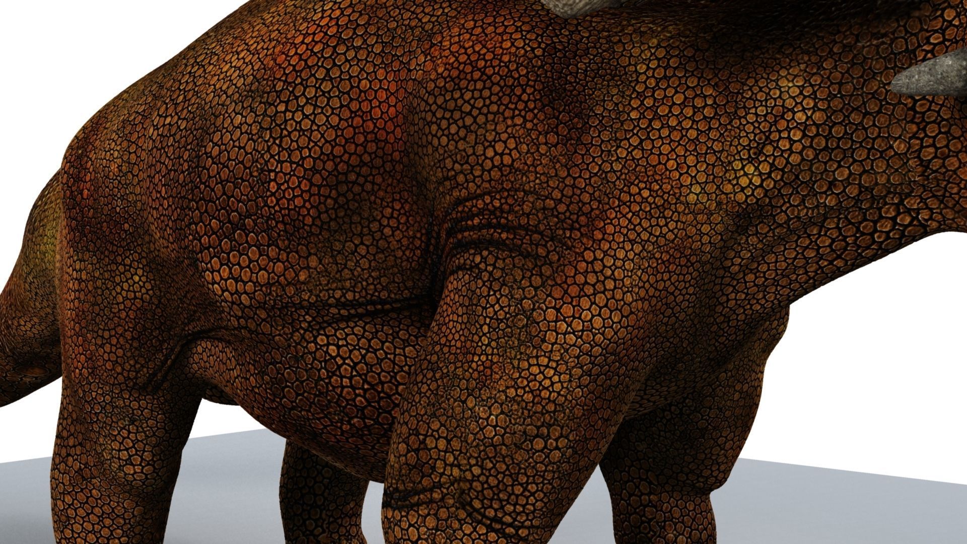 Triceratops dinosaur 3D model_20