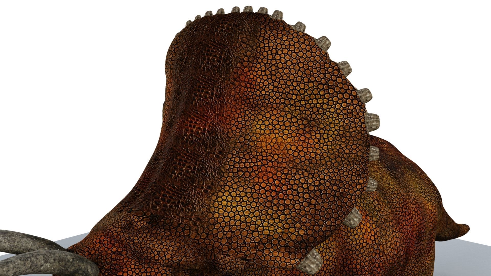 Triceratops dinosaur 3D model_14