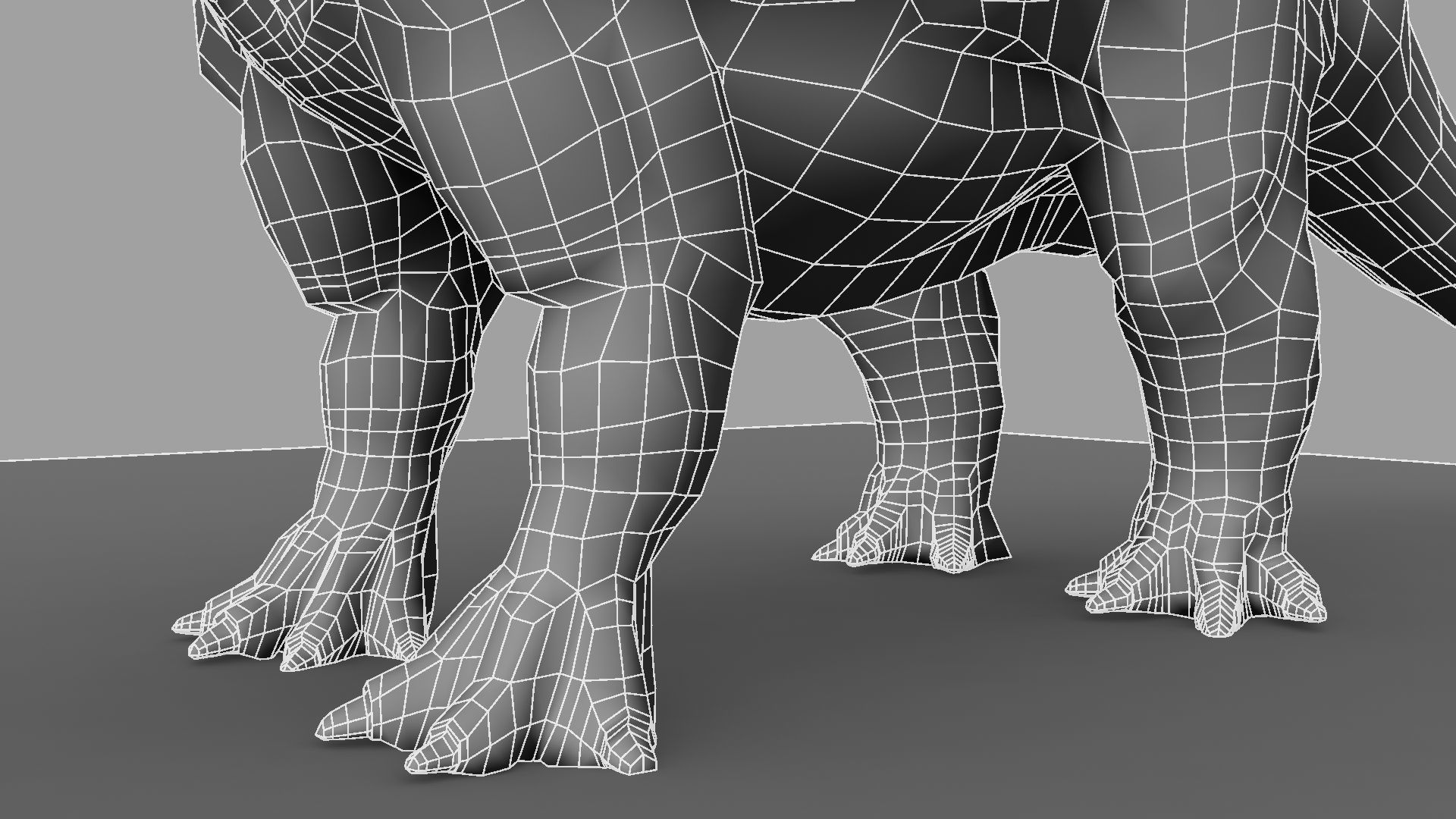 Triceratops dinosaur 3D model_31