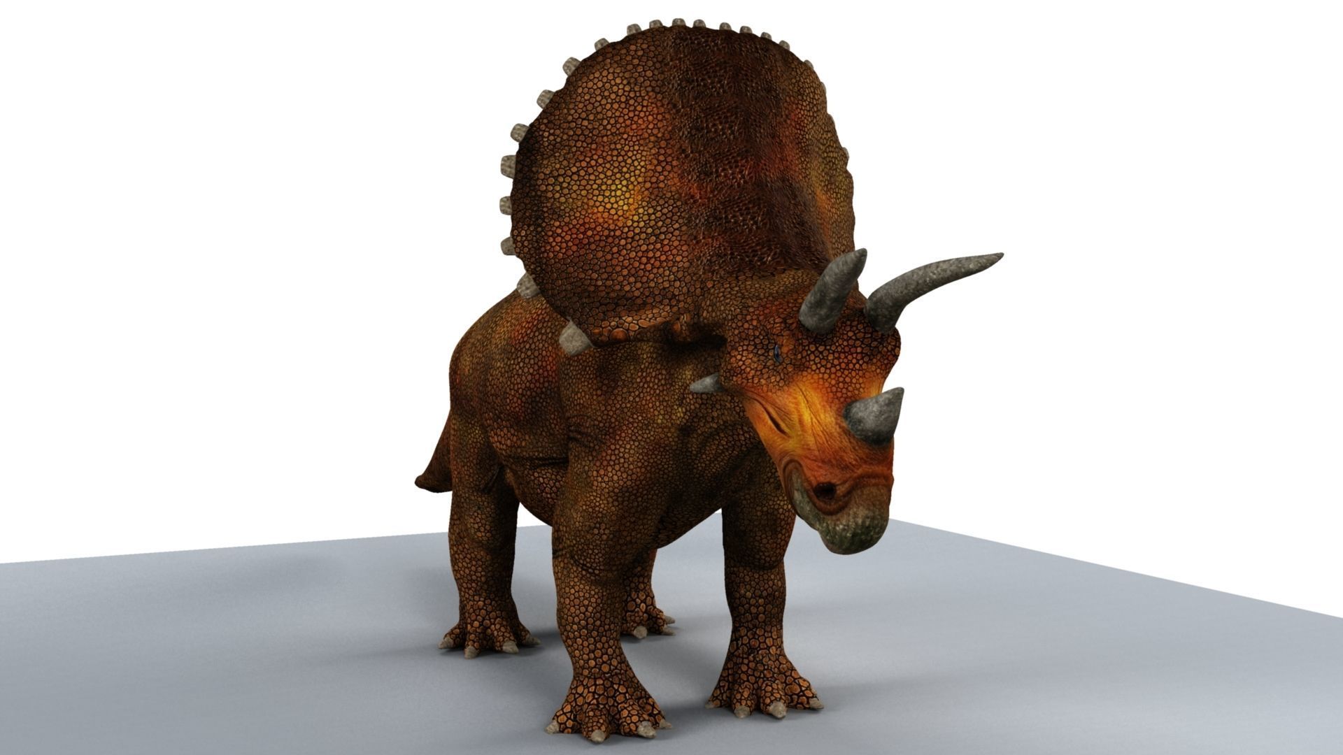 Triceratops dinosaur 3D model_4