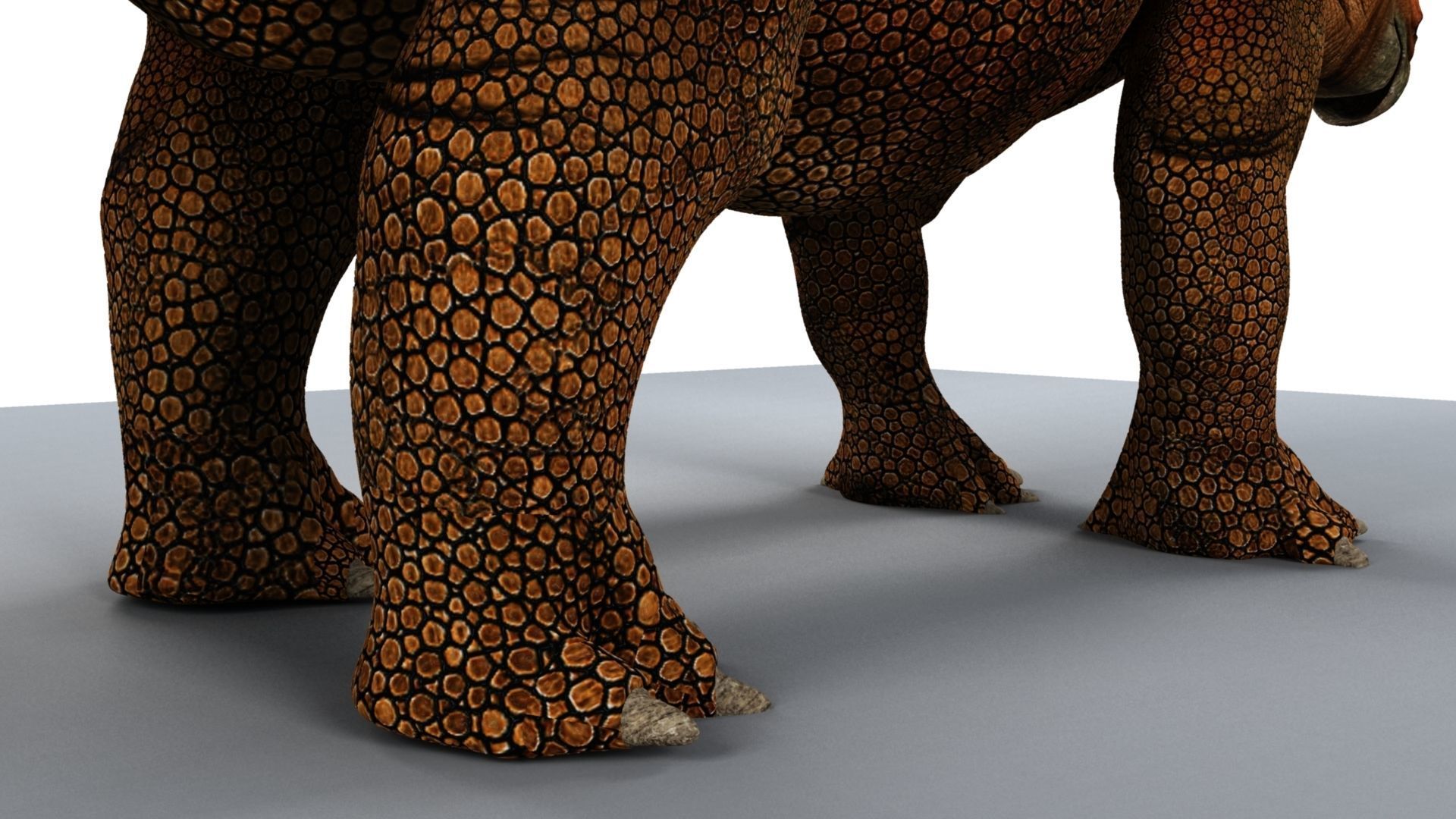 Triceratops dinosaur 3D model_15