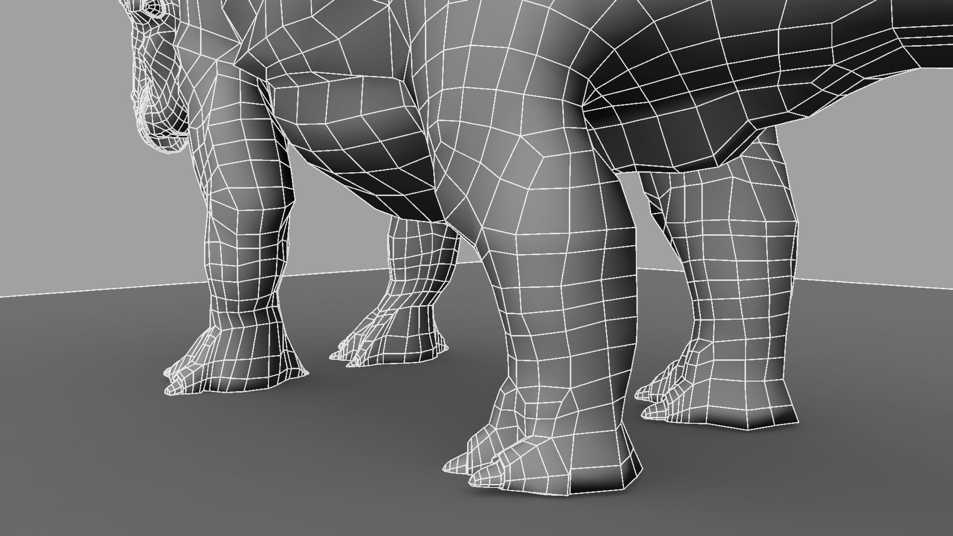 Triceratops dinosaur 3D model_28