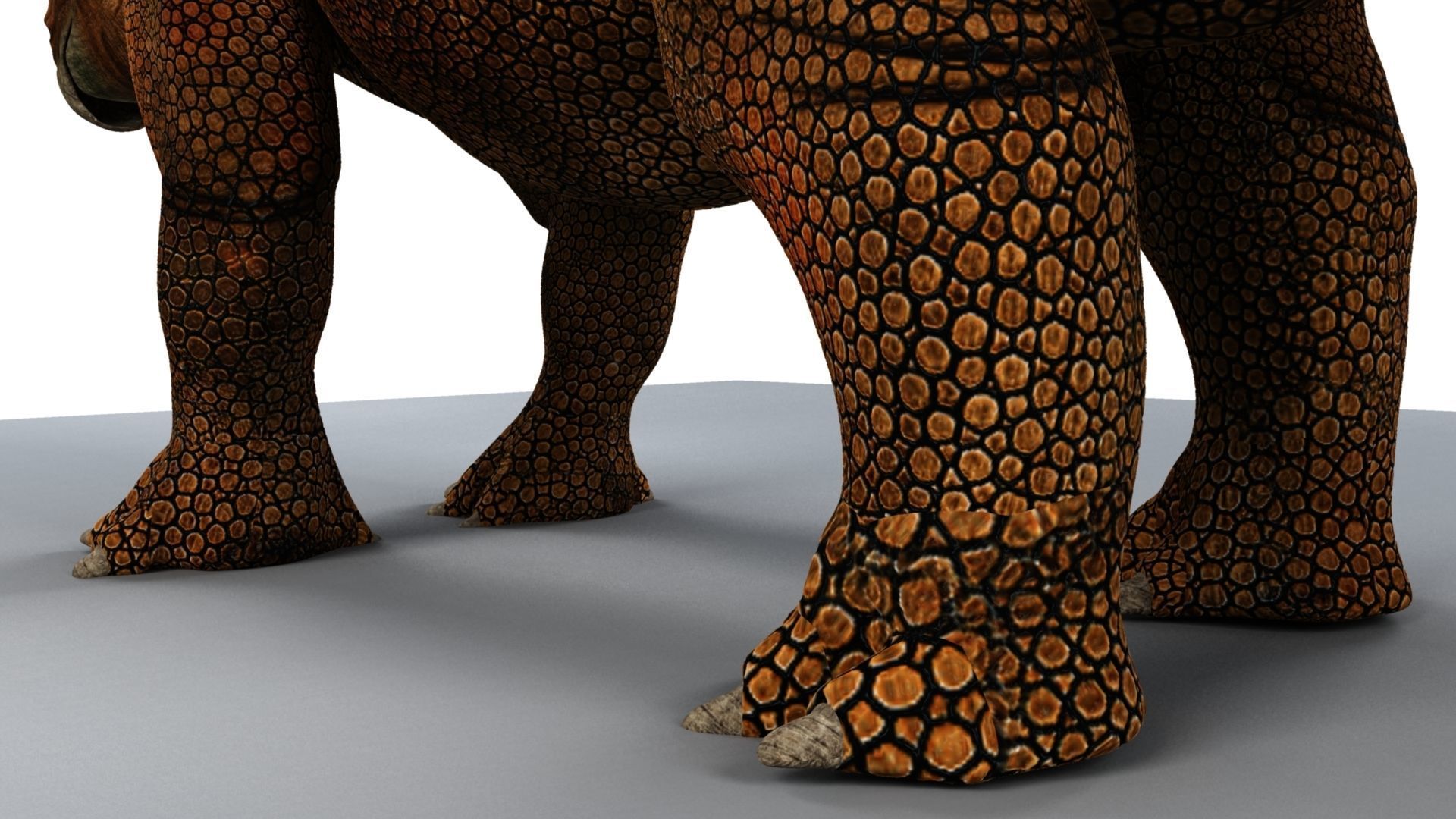 Triceratops dinosaur 3D model_9