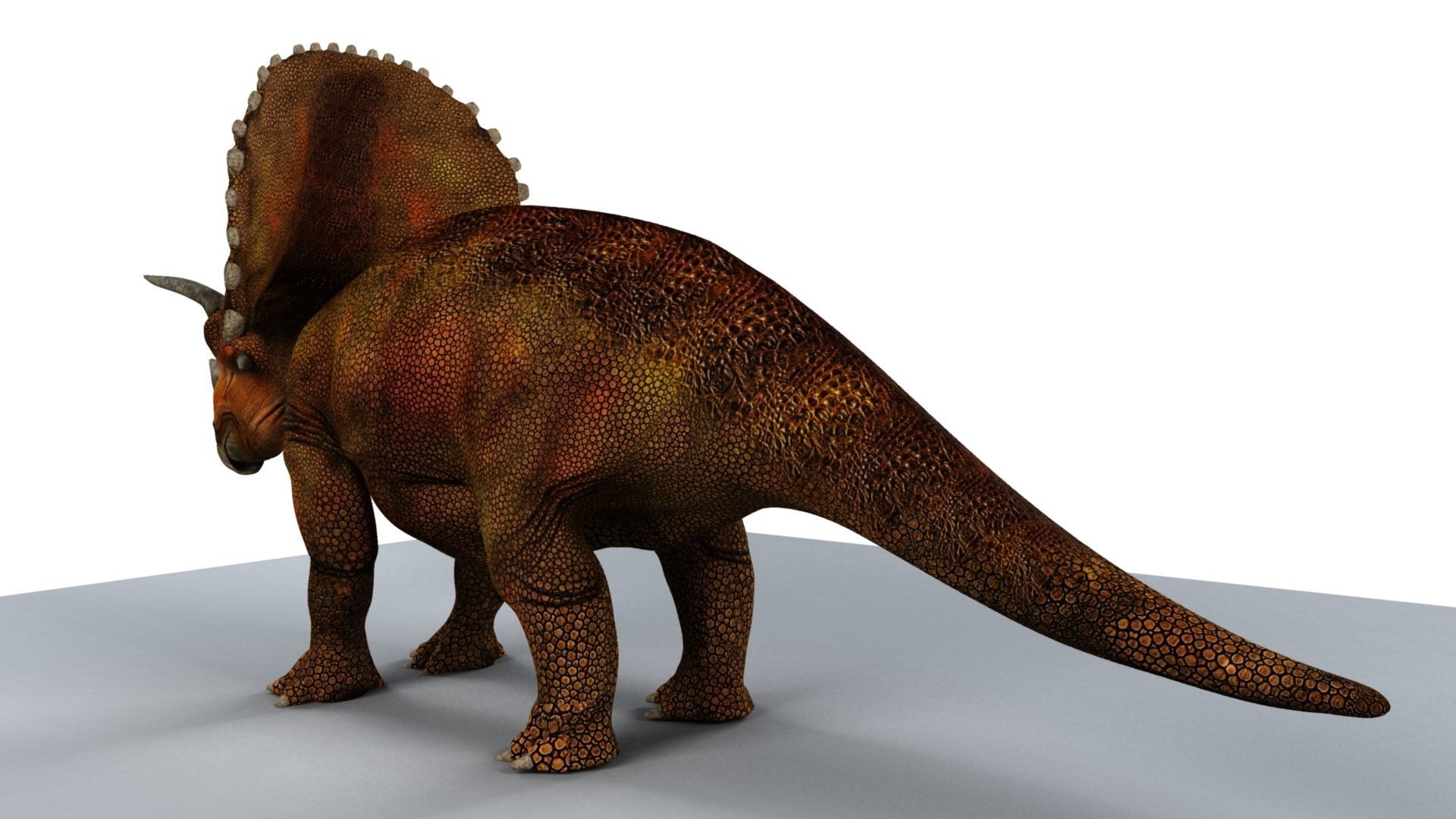 Triceratops dinosaur 3D model_2
