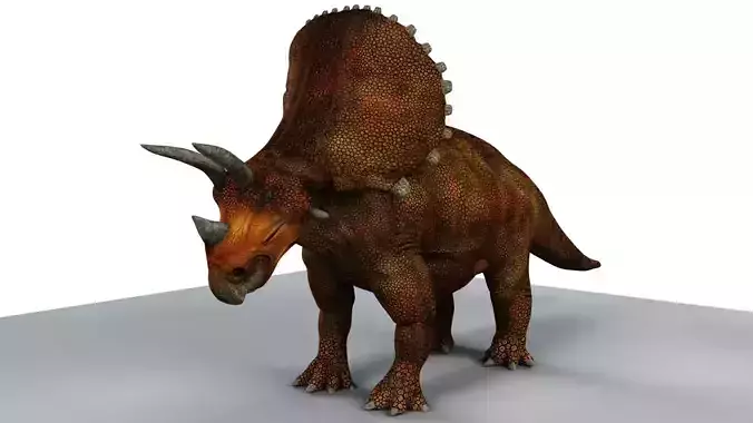 Triceratops dinosaur