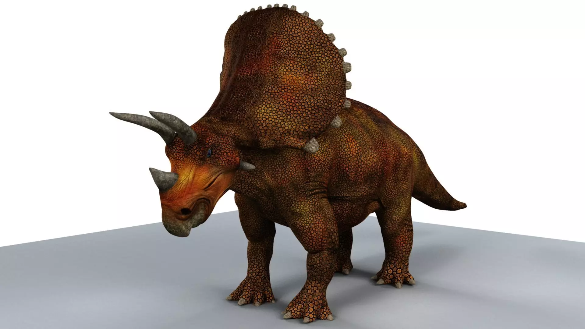 Triceratops dinosaur 3D model_0