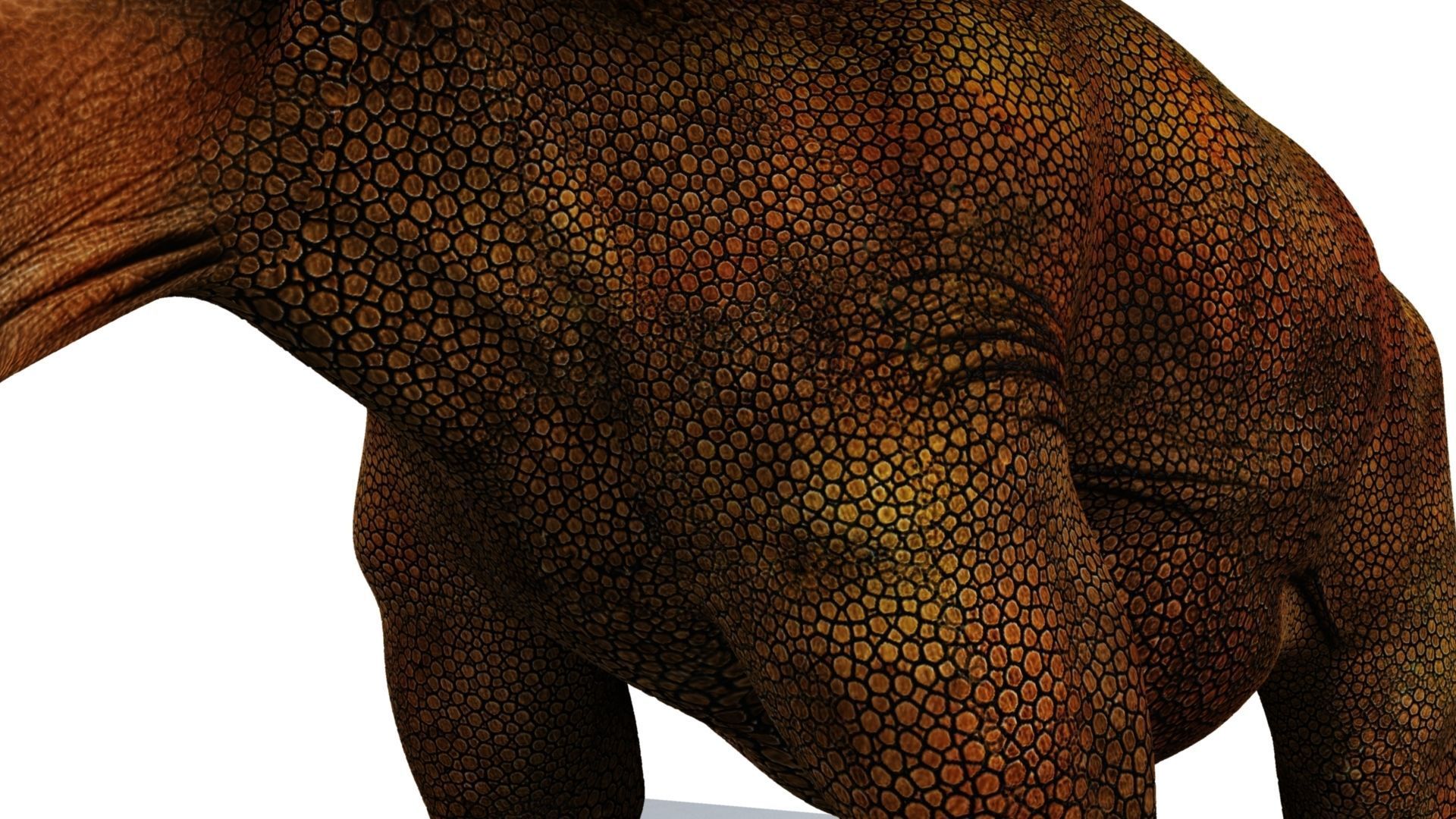 Triceratops dinosaur 3D model_18