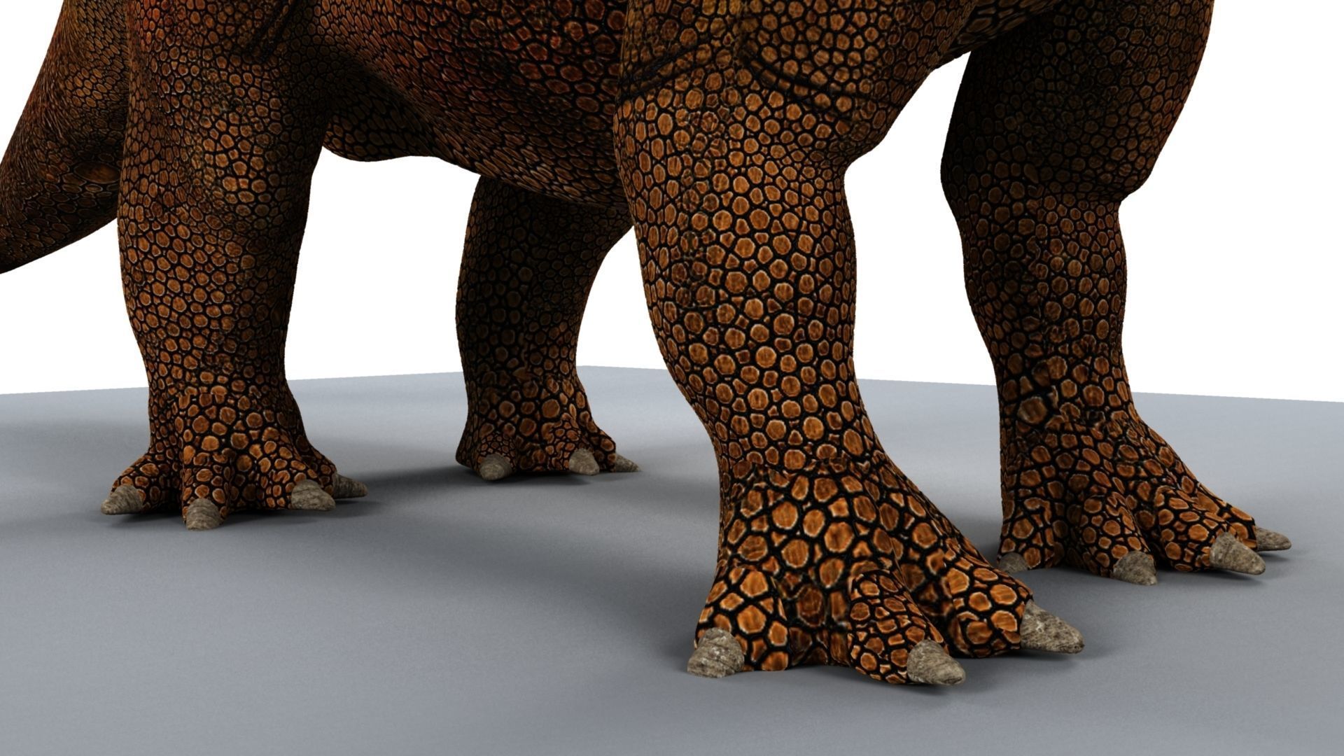 Triceratops dinosaur 3D model_16