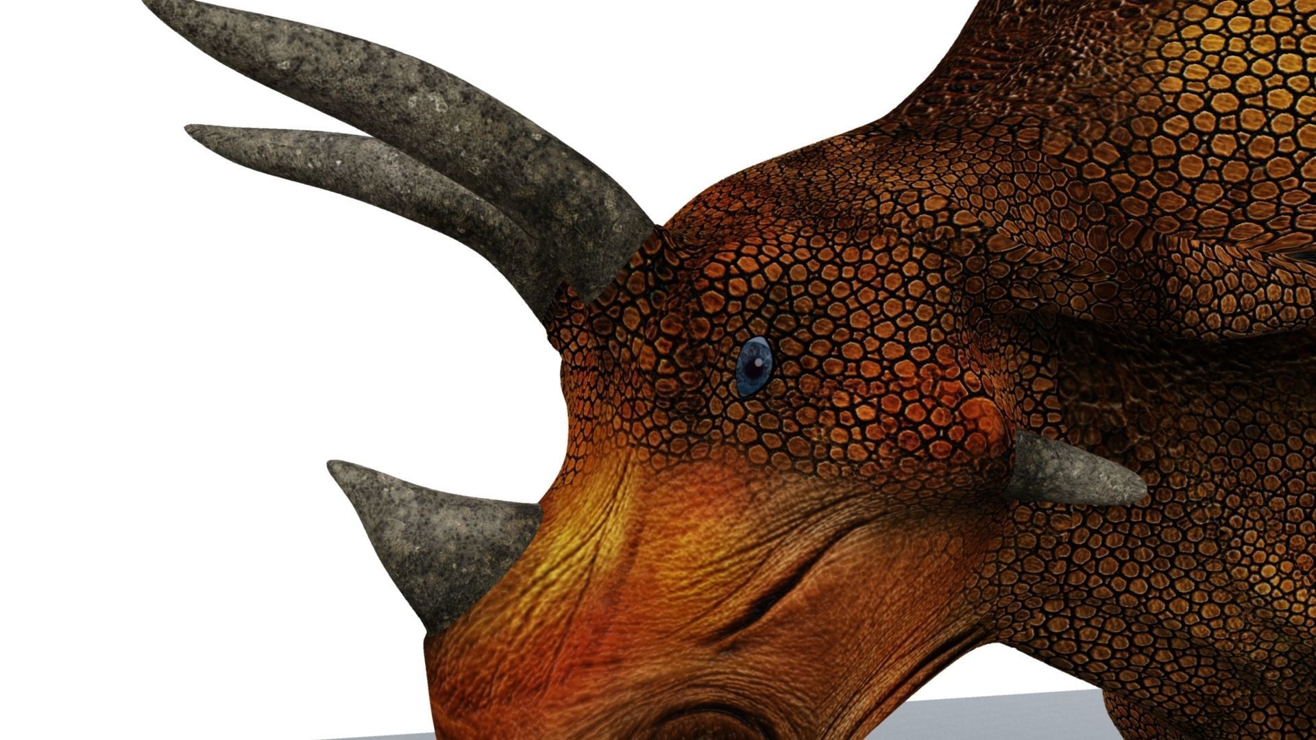 Triceratops dinosaur 3D model_8