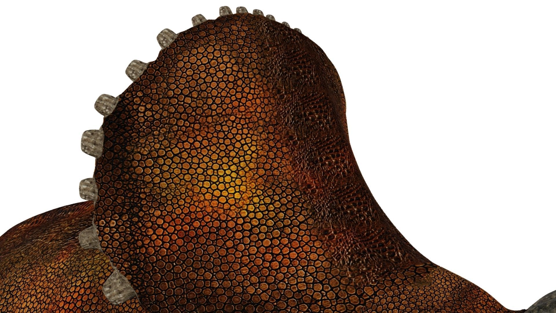 Triceratops dinosaur 3D model_11
