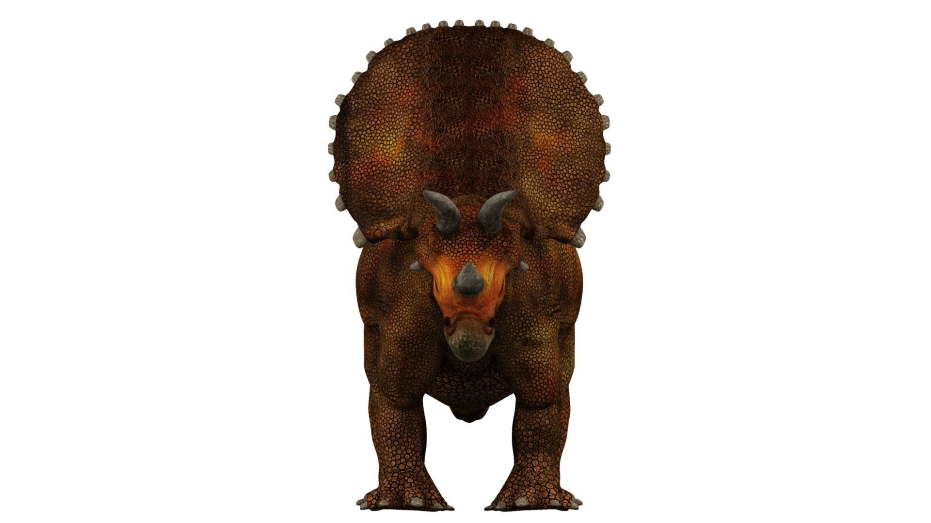 Triceratops dinosaur 3D model_6