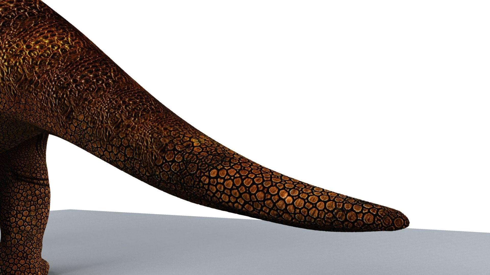 Triceratops dinosaur 3D model_7