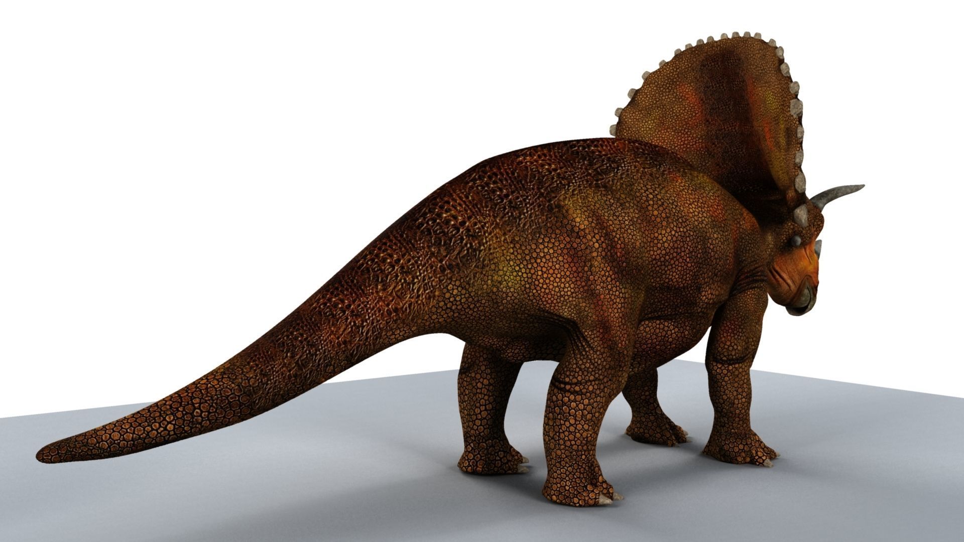 Triceratops dinosaur 3D model_3
