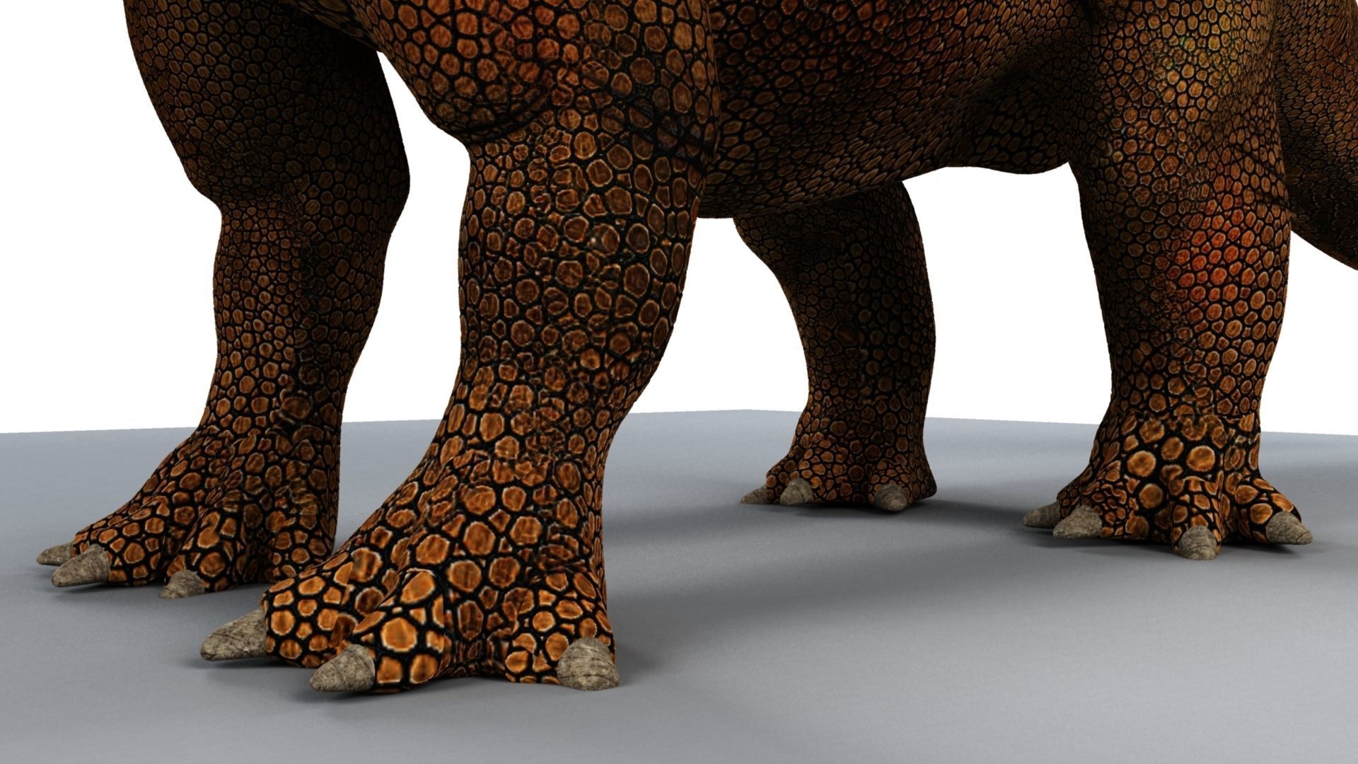 Triceratops dinosaur 3D model_13