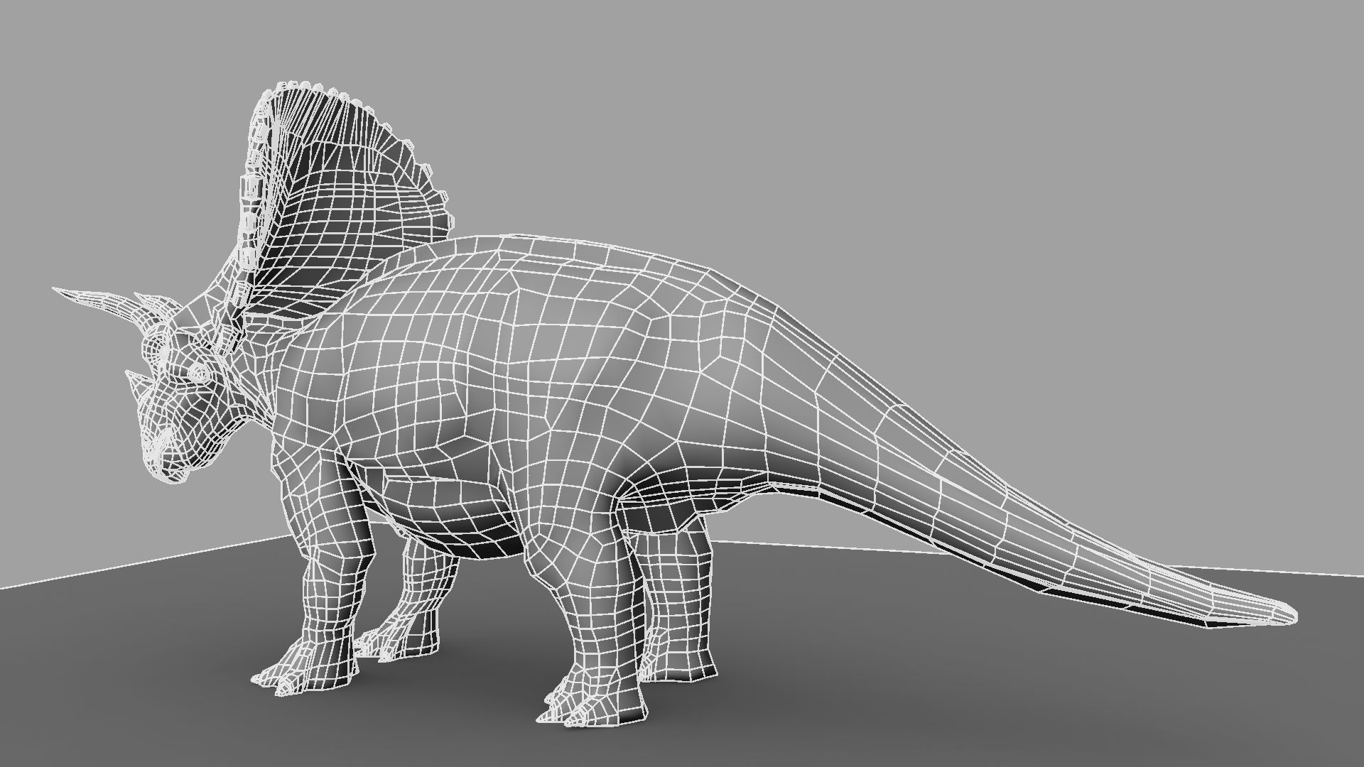 Triceratops dinosaur 3D model_23