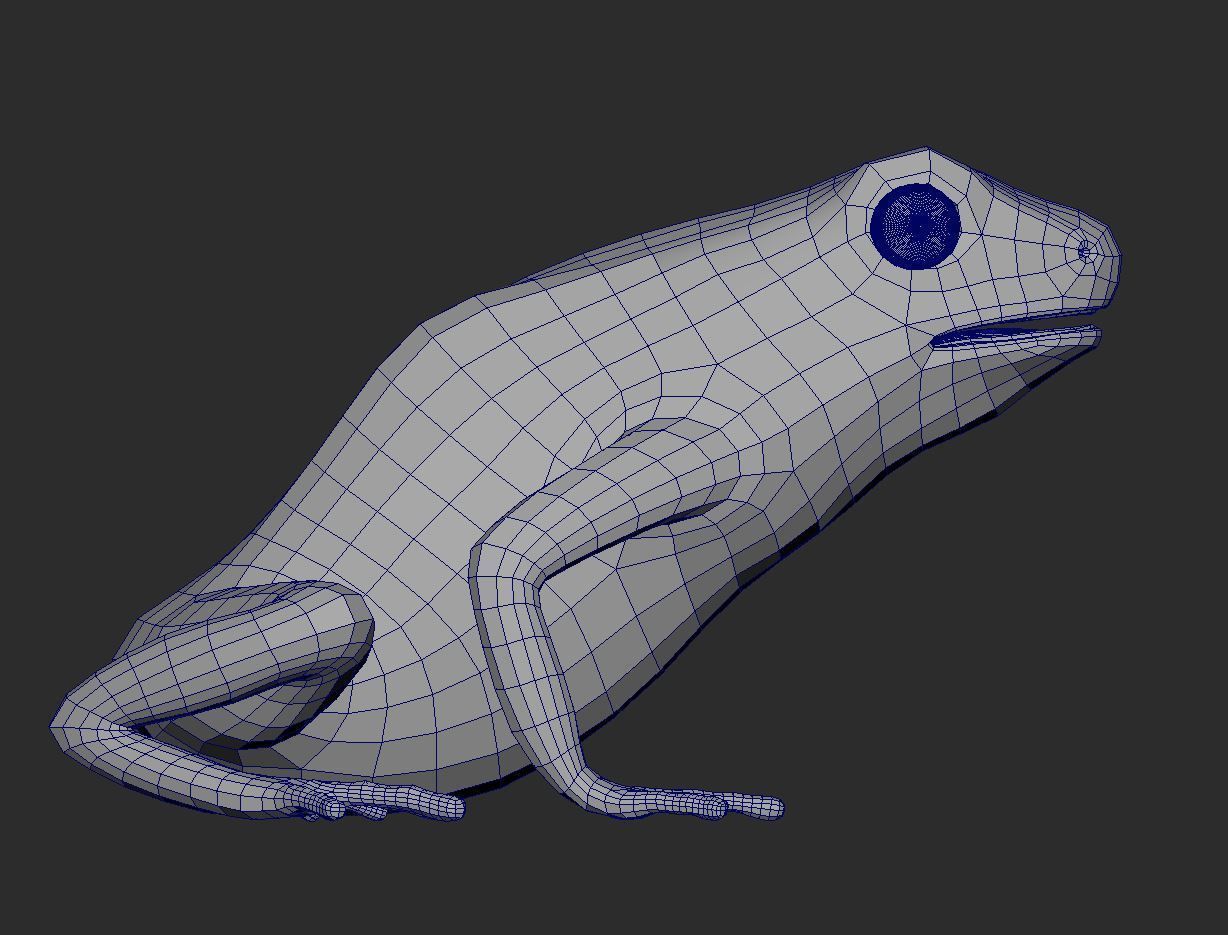 Yellow banded Bumblebee poison dart frog Dendrobates leucomelas 3D model_9