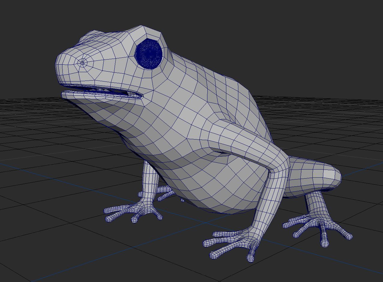 Yellow banded Bumblebee poison dart frog Dendrobates leucomelas 3D model_4