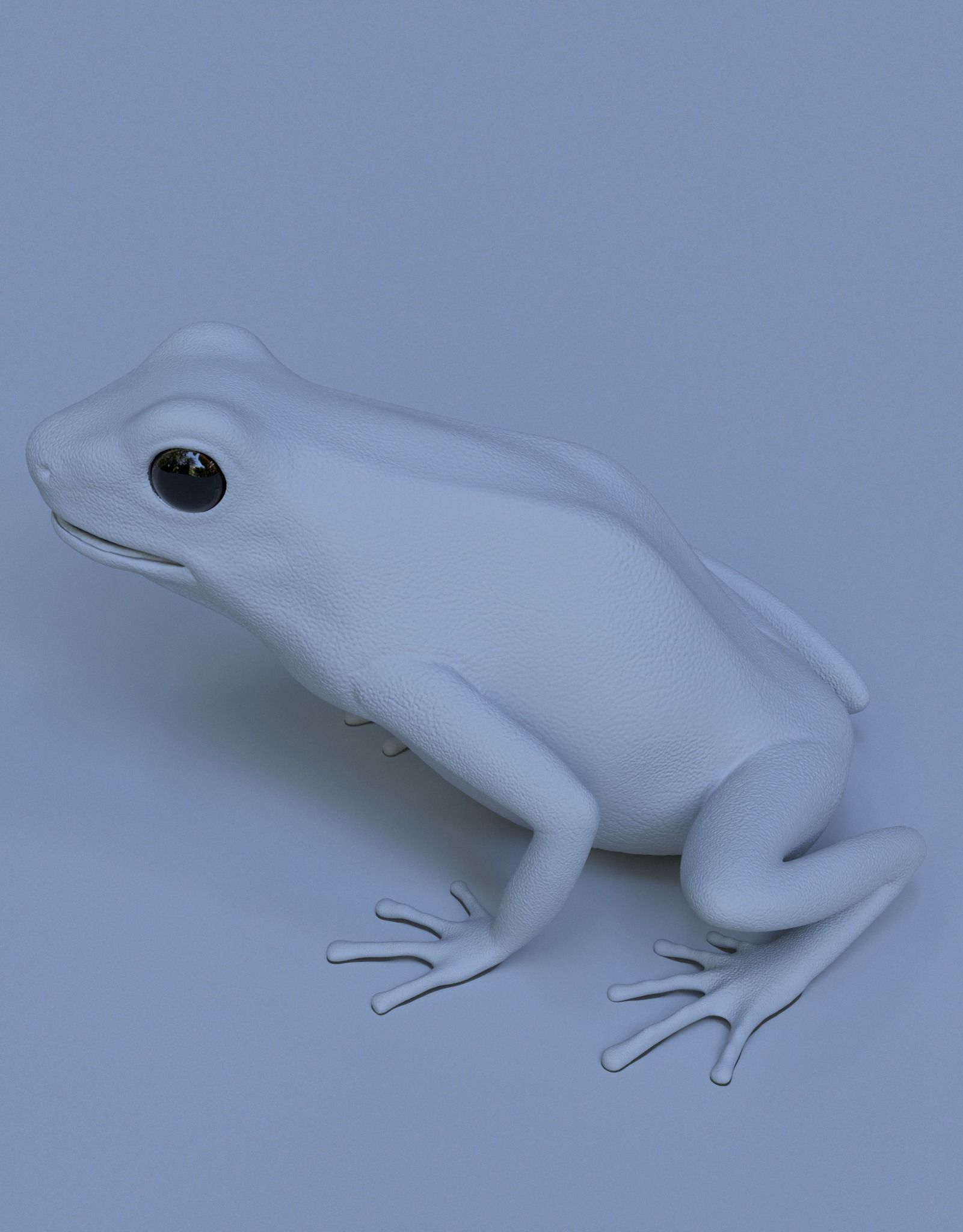 Yellow banded Bumblebee poison dart frog Dendrobates leucomelas 3D model_1