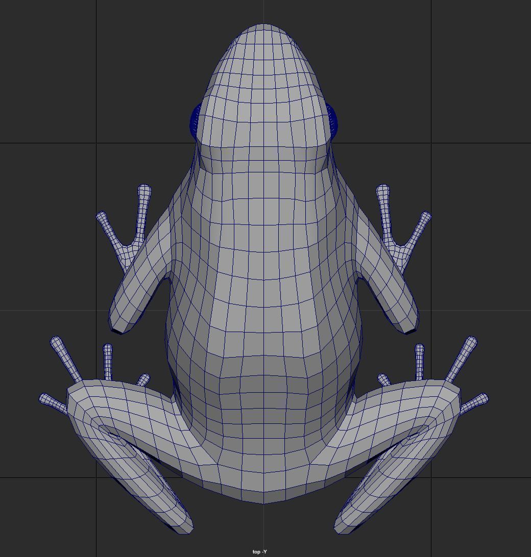 Yellow banded Bumblebee poison dart frog Dendrobates leucomelas 3D model_10