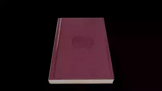 Diary maroon book