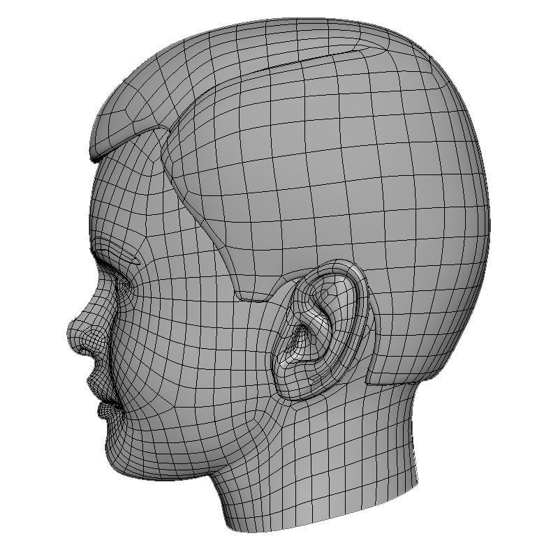 Teenage Head Low Poly Base Mesh Low-poly 3D model_1