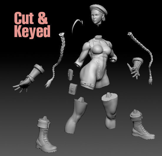 Cammy White Street Fighter 3D print model_2