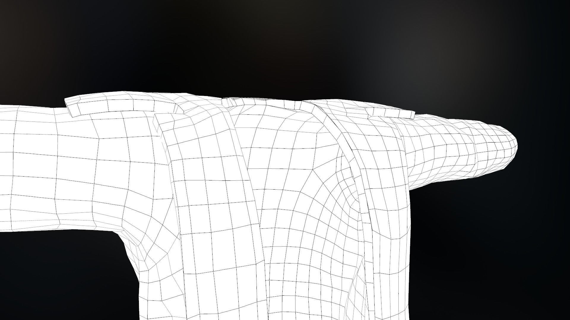 Fur Jacket Low-poly 3D model_29