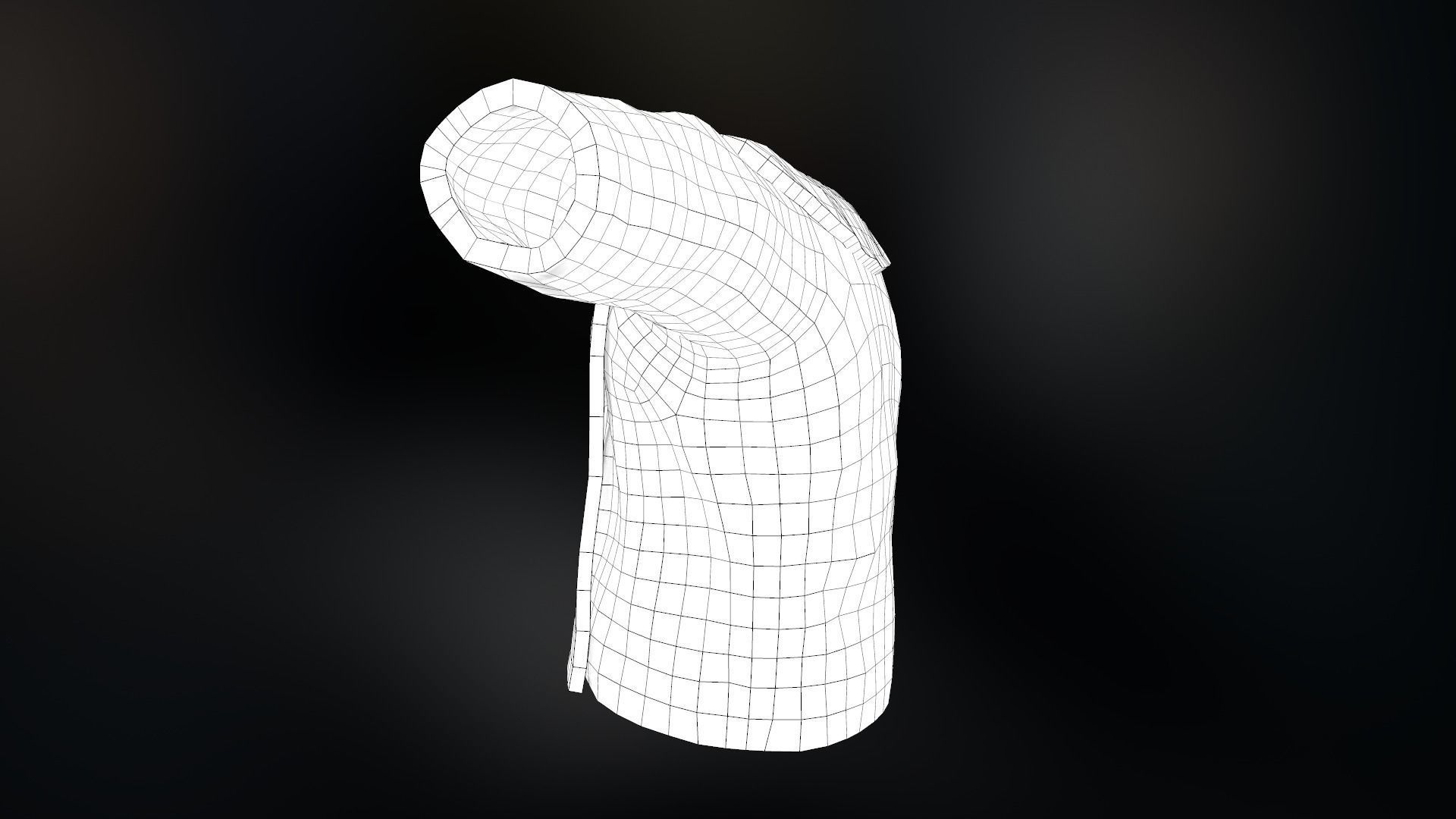 Fur Jacket Low-poly 3D model_26