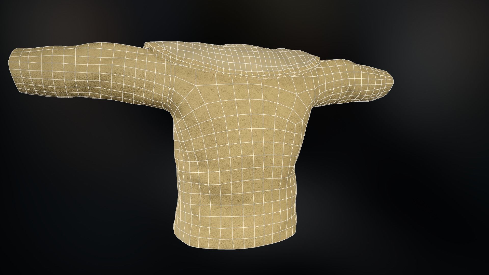 Fur Jacket Low-poly 3D model_20