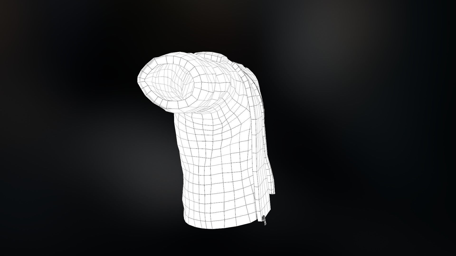 Fur Jacket Low-poly 3D model_28