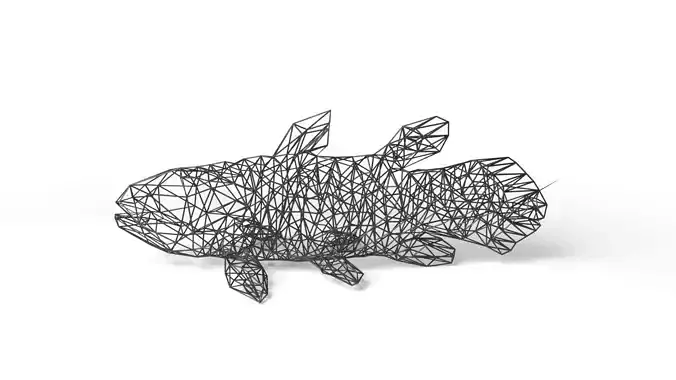 Coelacanth Wireframe