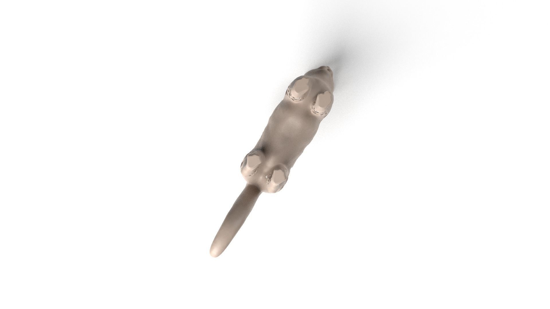 Cat Dust Voronoi Low-poly 3D model_8