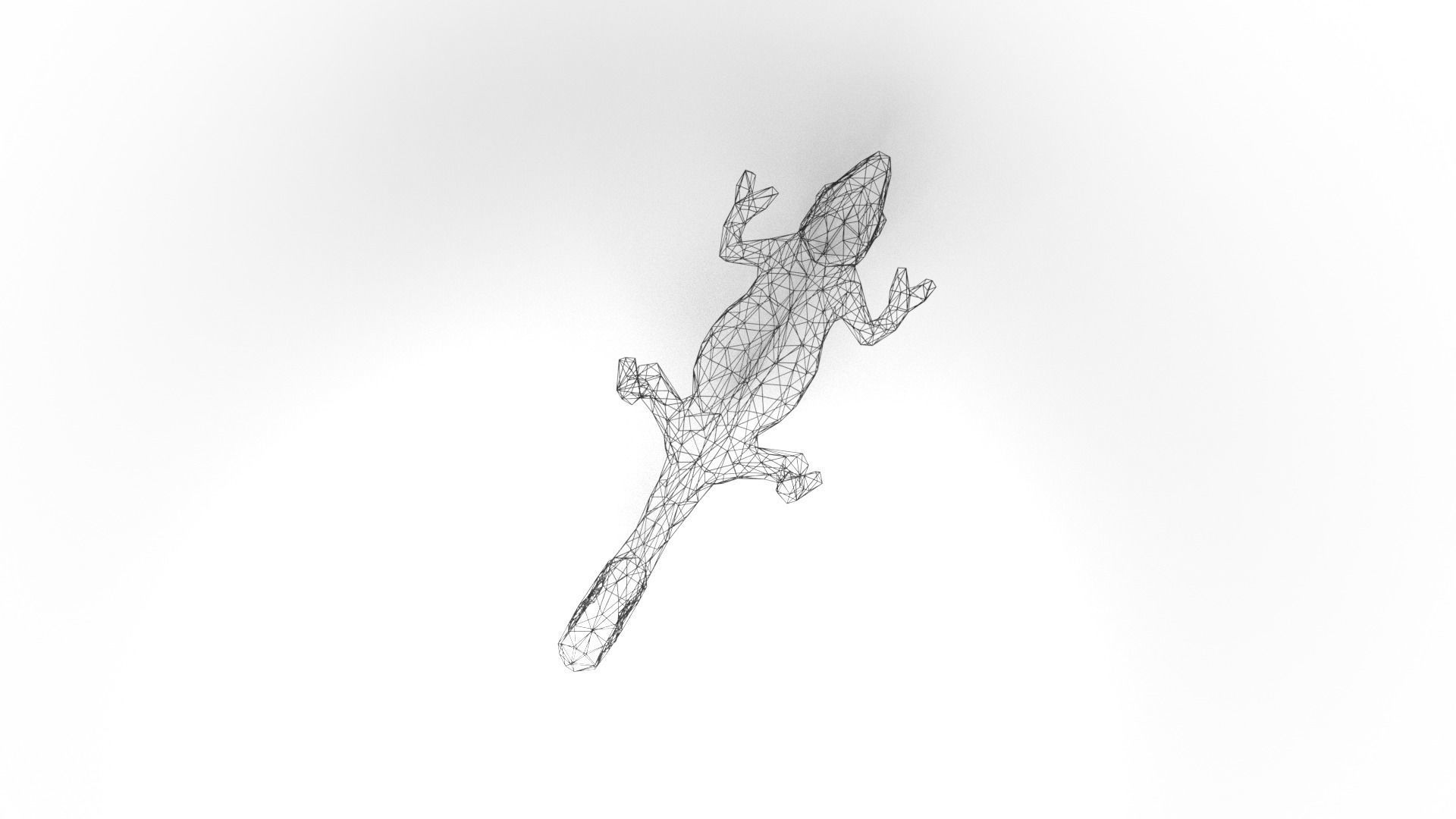 Chameleon Wireframe Low-poly 3D model_8