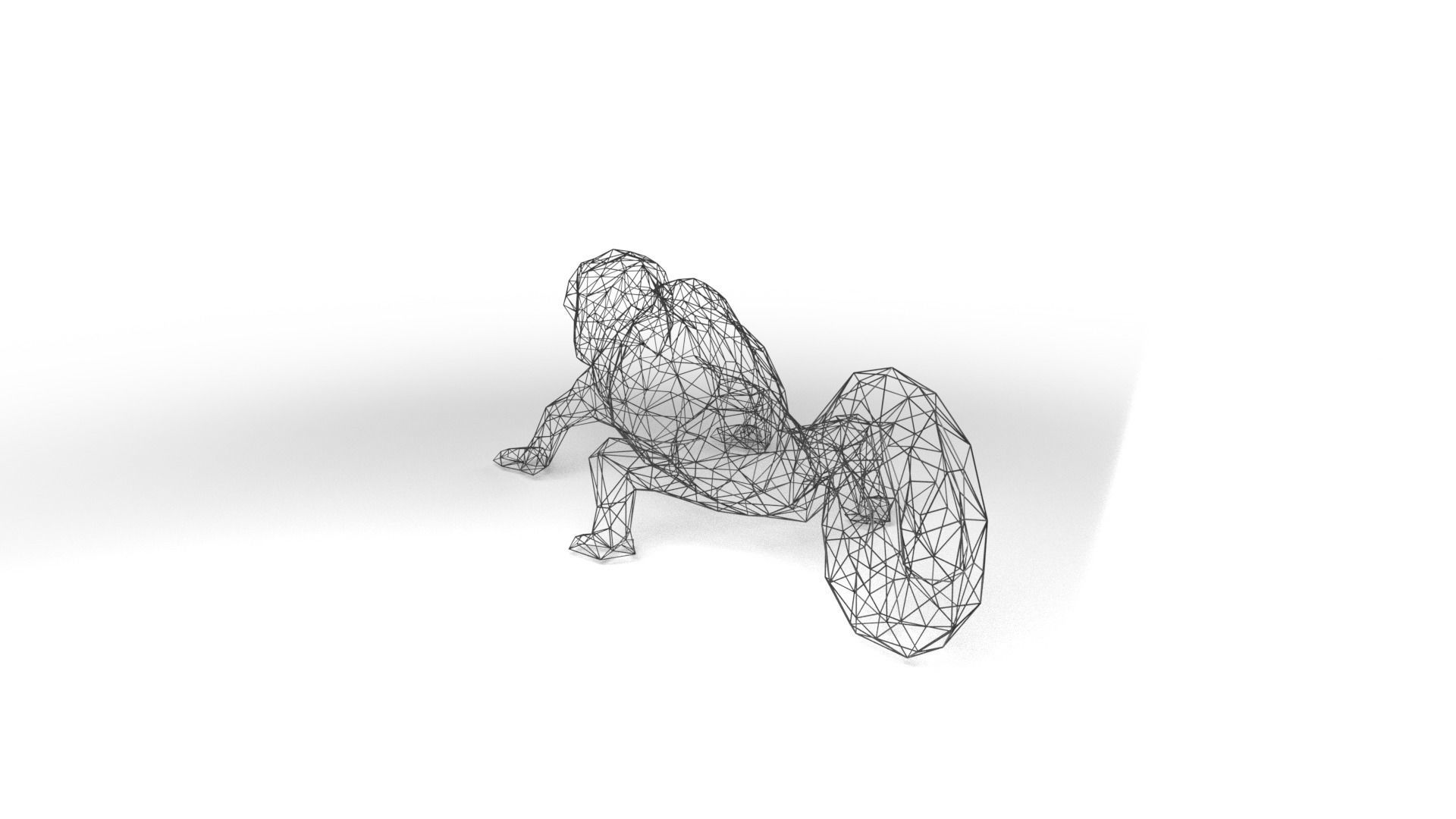 Chameleon Wireframe Low-poly 3D model_5