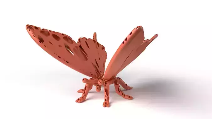 Butterfly Dust Voronoi