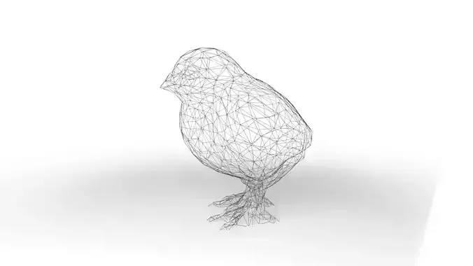 Chick Wireframe