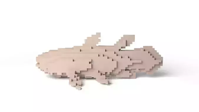 Coelacanth Minecraft Voxel