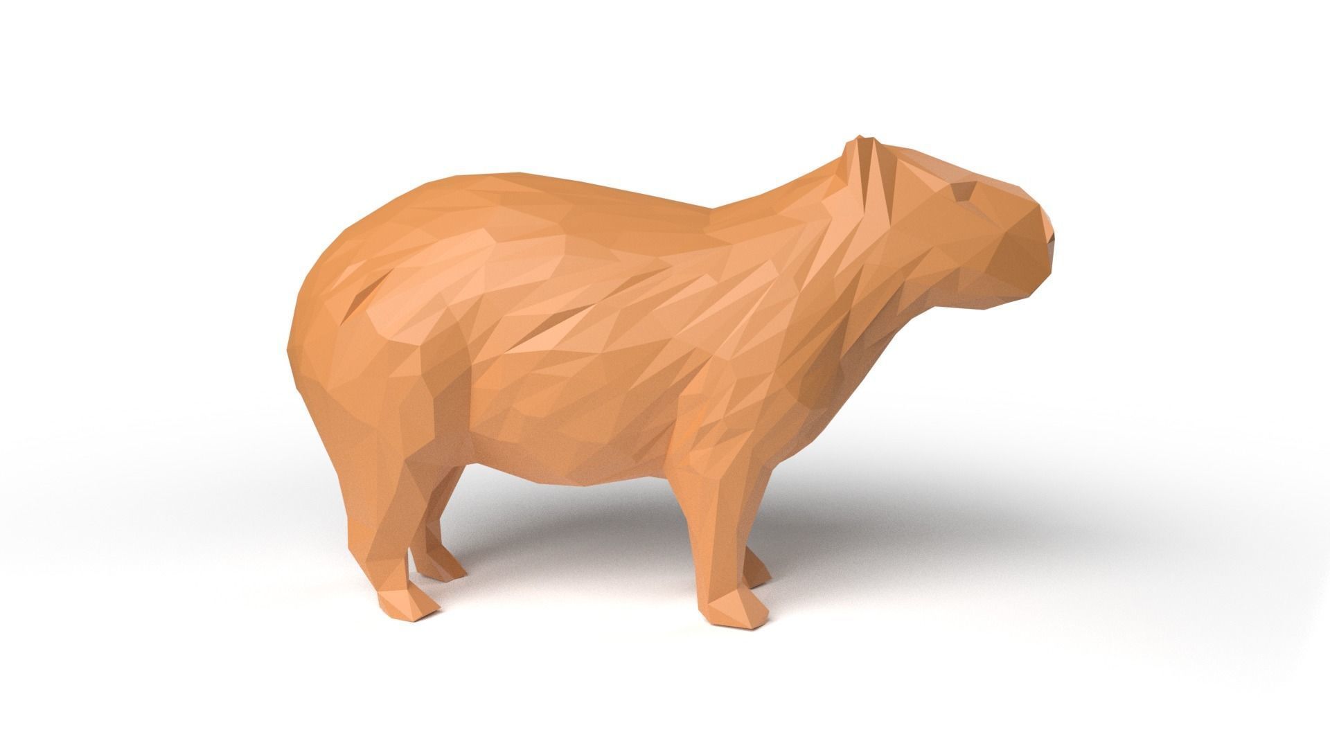 Capybara Low Poligonal Low-poly 3D model_3