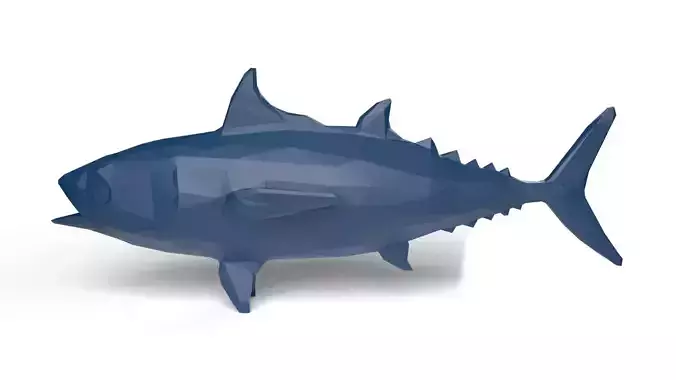 Bonito Low Poligonal