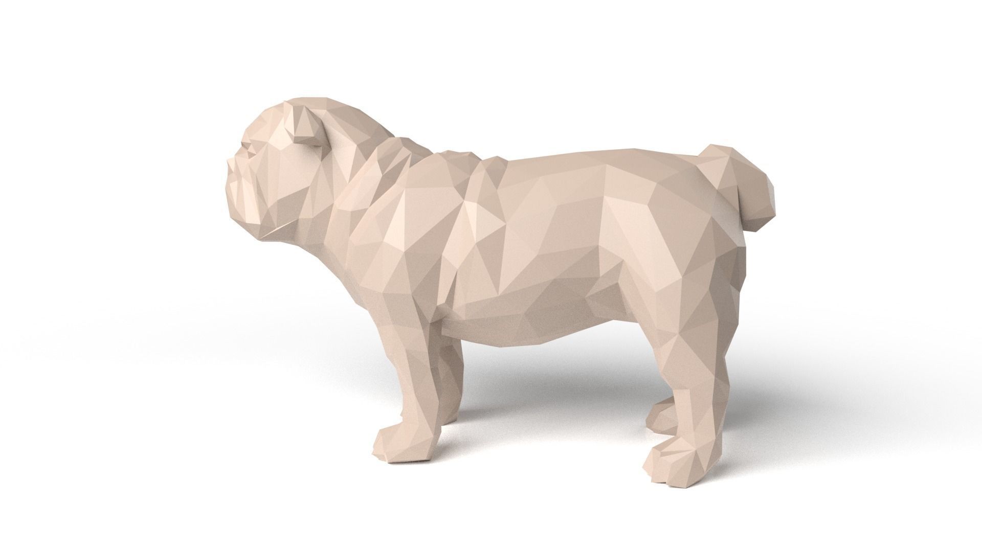 Bulldog Low Poligonal Low-poly 3D model_6