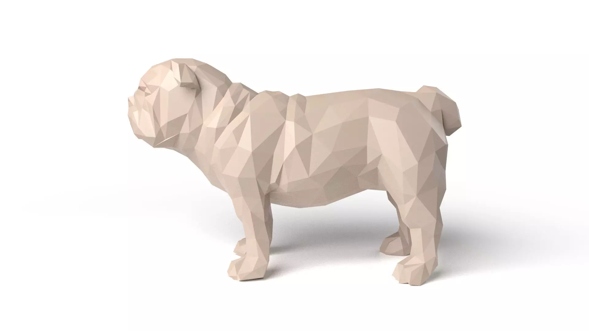 Bulldog Low Poligonal Low-poly 3D model_0