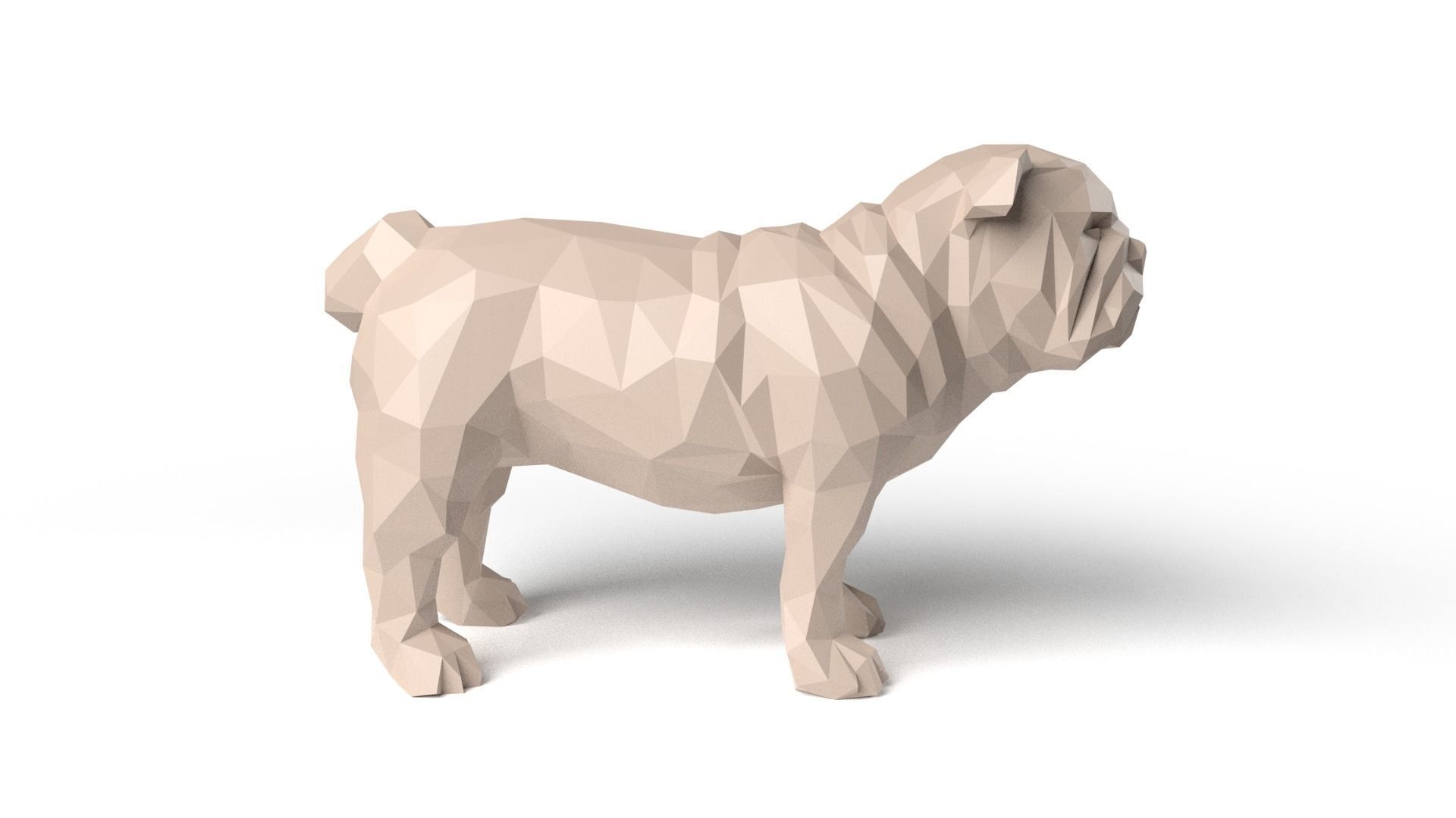 Bulldog Low Poligonal Low-poly 3D model_3