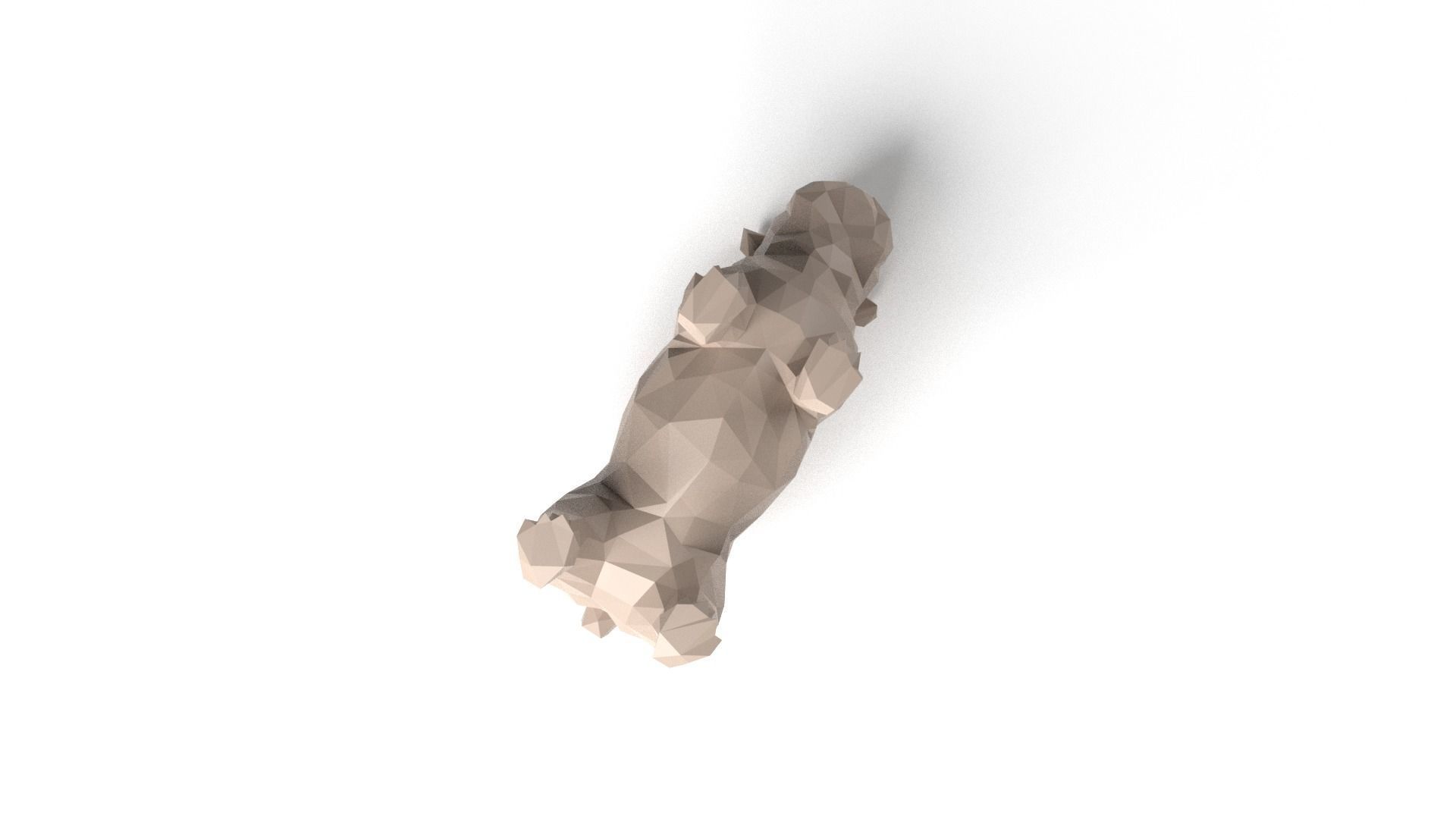 Bulldog Low Poligonal Low-poly 3D model_8