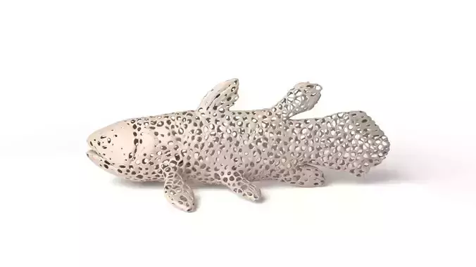 Coelacanth Voronoi