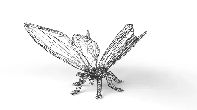 Butterfly Wireframe