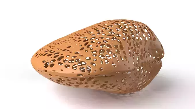 Clam Voronoi