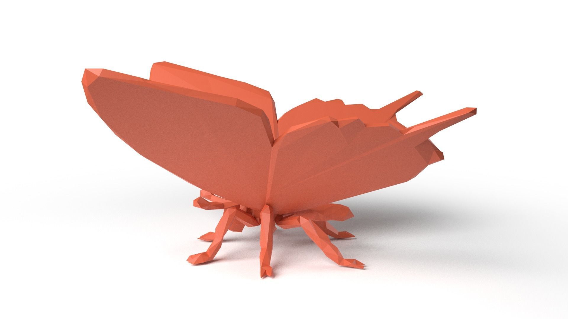 Butterfly Low Poligonal Low-poly 3D model_5