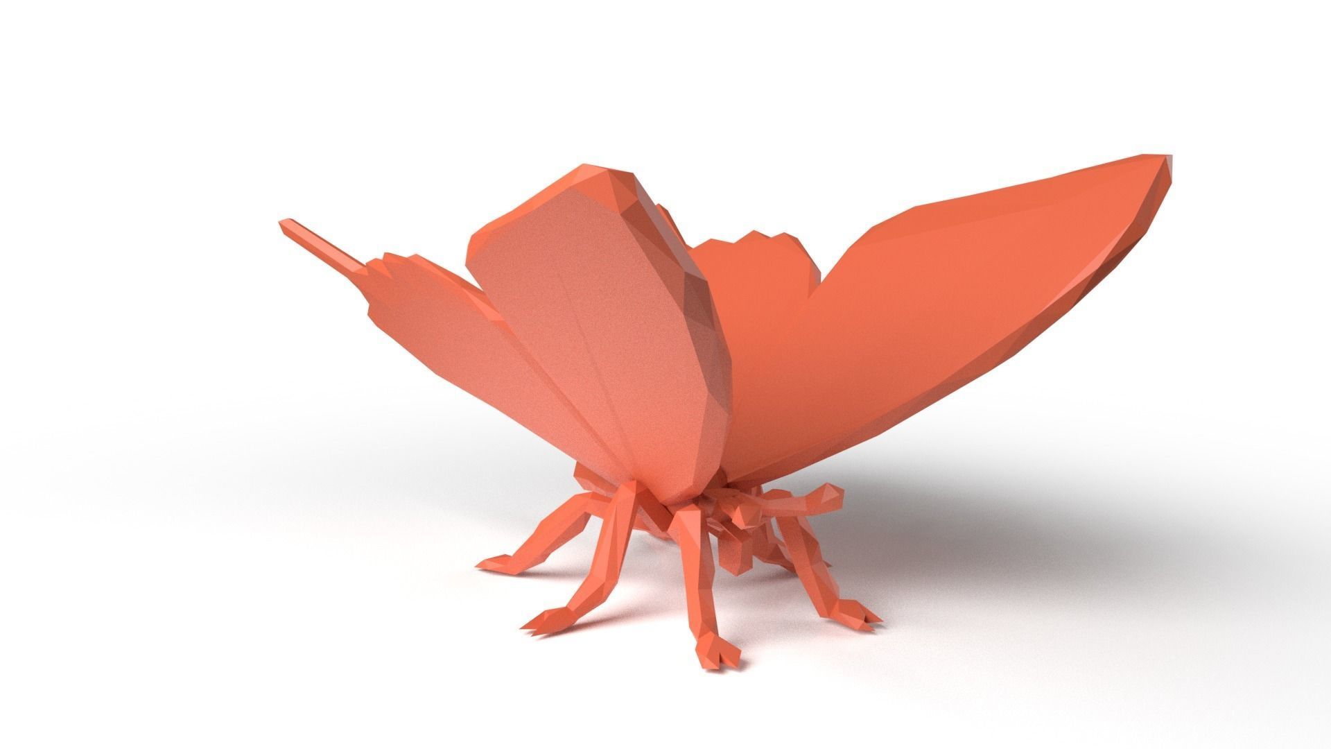 Butterfly Low Poligonal Low-poly 3D model_1