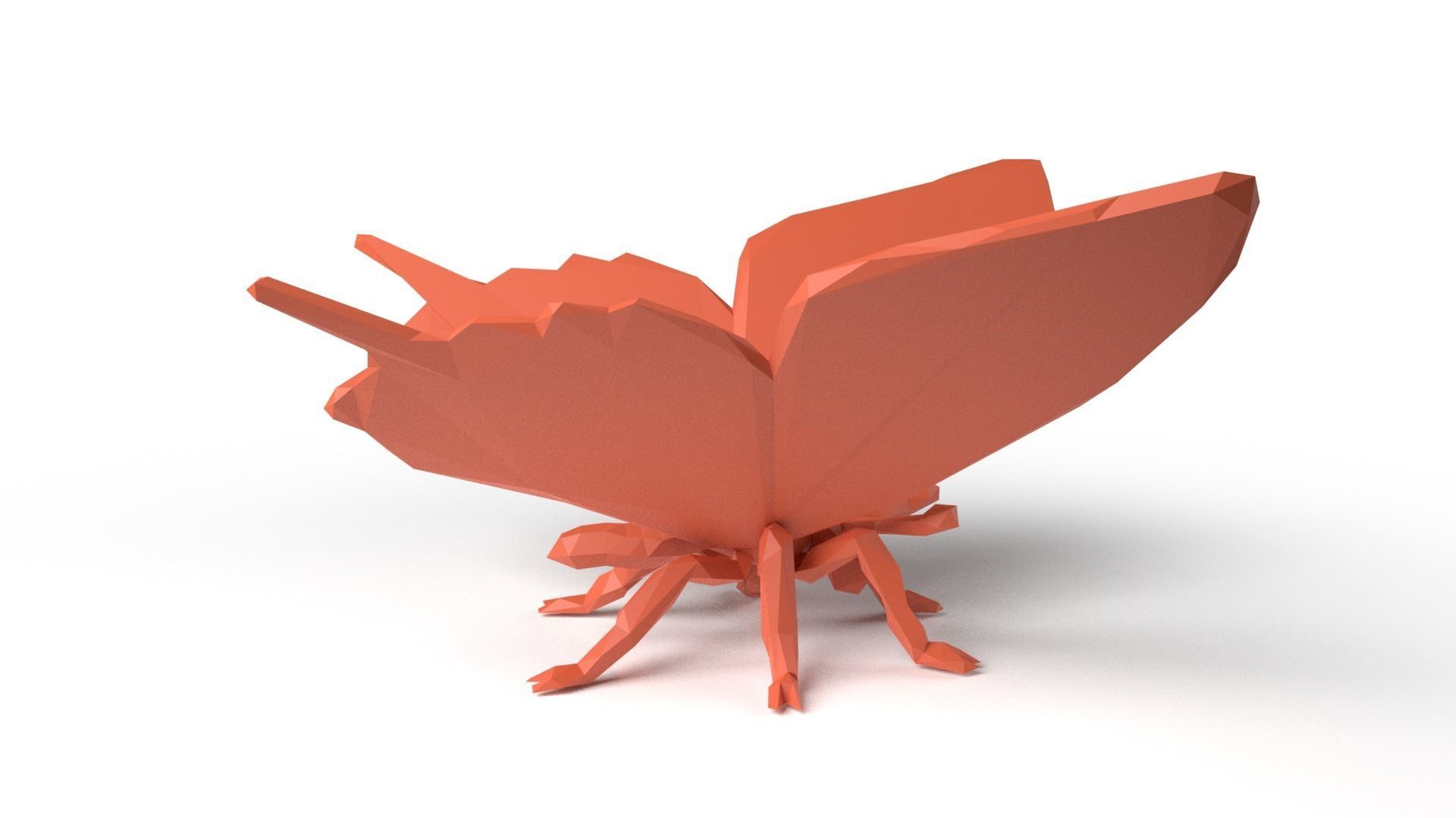 Butterfly Low Poligonal Low-poly 3D model_2